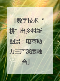 数字技术“耕”出乡村新图景：电商助力三产深度融合