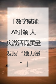 数字赋能 AI引领 大庆激活高质量发展“她力量”
