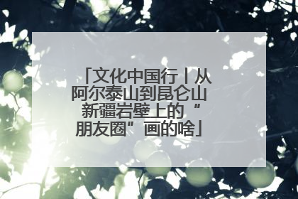 文化中国行丨从阿尔泰山到昆仑山 新疆岩壁上的“朋友圈”画的啥