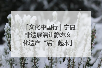 文化中国行｜宁夏 非遗展演让静态文化遗产“活”起来