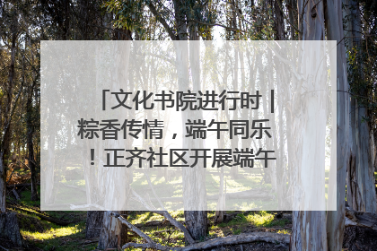 文化书院进行时｜粽香传情，端午同乐！正齐社区开展端午包粽子大赛