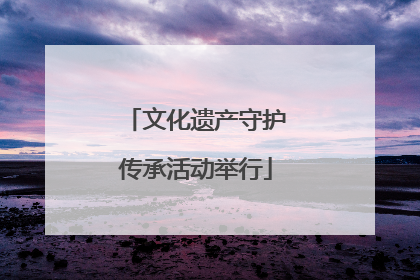 文化遗产守护传承活动举行
