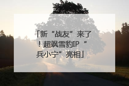 新“战友”来了！超飒雪豹IP“兵小宁”亮相