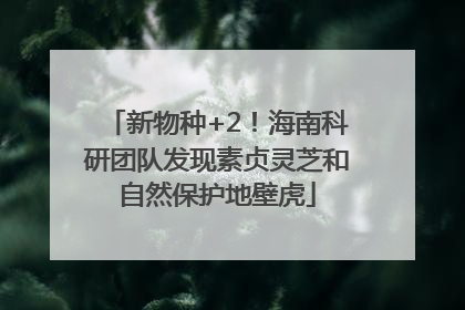 新物种+2！海南科研团队发现素贞灵芝和自然保护地壁虎