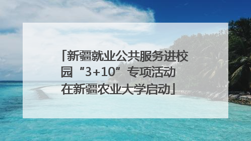 新疆就业公共服务进校园“3+10”专项活动在新疆农业大学启动