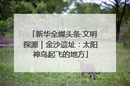 新华全媒头条·文明探源｜金沙遗址：太阳神鸟起飞的地方