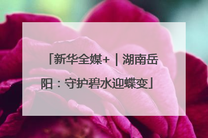 新华全媒+｜湖南岳阳：守护碧水迎蝶变