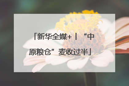 新华全媒+丨“中原粮仓”麦收过半