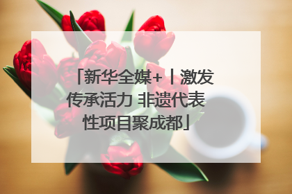 新华全媒+丨激发传承活力 非遗代表性项目聚成都