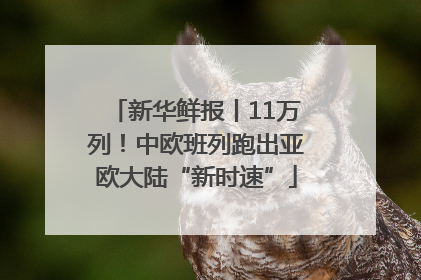 新华鲜报丨11万列！中欧班列跑出亚欧大陆“新时速”