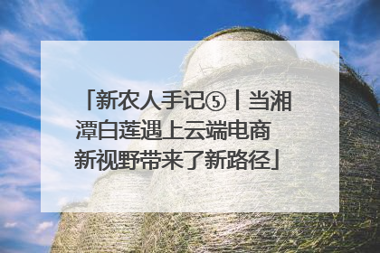 新农人手记⑤丨当湘潭白莲遇上云端电商 新视野带来了新路径
