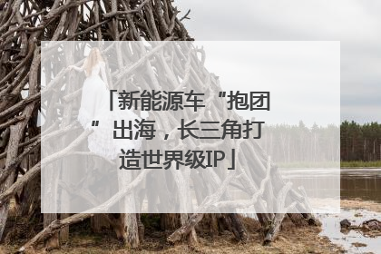新能源车“抱团”出海，长三角打造世界级IP