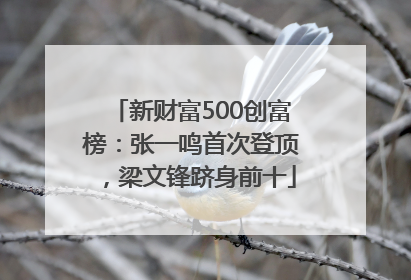 新财富500创富榜：张一鸣首次登顶，梁文锋跻身前十