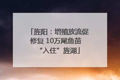 旌阳：增殖放流促修复 10万尾鱼苗“入住”旌湖