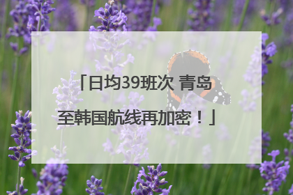 日均39班次 青岛至韩国航线再加密！