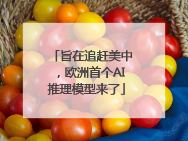 旨在追赶美中，欧洲首个AI推理模型来了