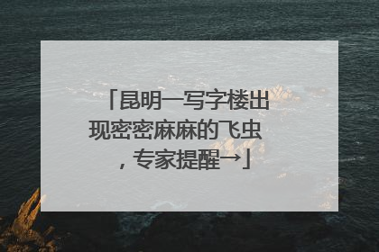 昆明一写字楼出现密密麻麻的飞虫，专家提醒→