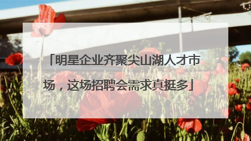 明星企业齐聚尖山湖人才市场，这场招聘会需求真挺多