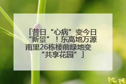 昔日“心病”变今日“新景”!东高地万源南里26栋楼前绿地变“共享花园”