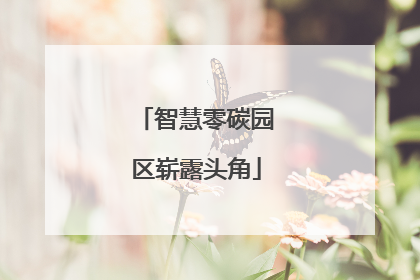 智慧零碳园区崭露头角