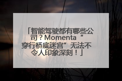智能驾驶都有哪些公司？Momenta“穿行桥底迷宫”无法不令人印象深刻！