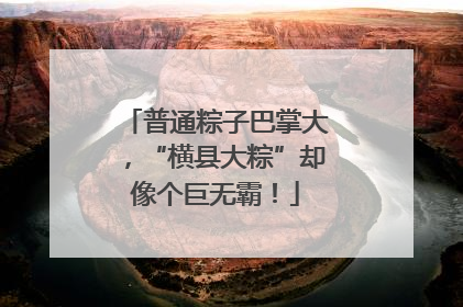 普通粽子巴掌大，“横县大粽”却像个巨无霸！