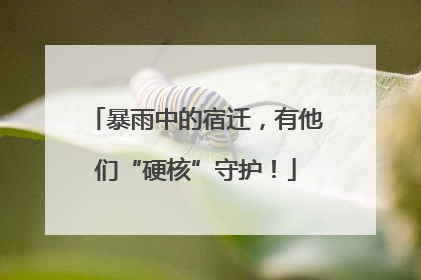 暴雨中的宿迁，有他们“硬核”守护！