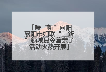 暖“新”向阳 襄阳市妇联“三新”领域夏令营亲子活动火热开展