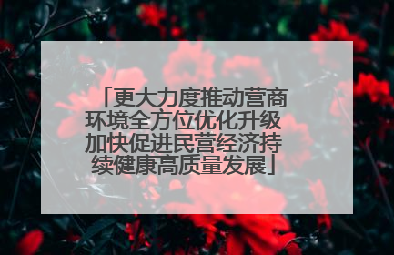 更大力度推动营商环境全方位优化升级加快促进民营经济持续健康高质量发展