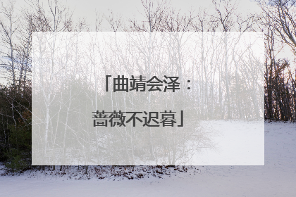 曲靖会泽：蔷薇不迟暮