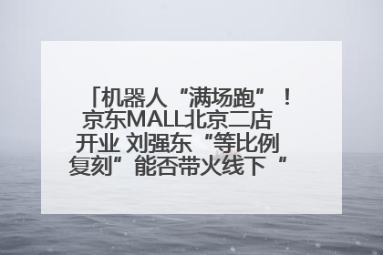 机器人“满场跑”！京东MALL北京二店开业 刘强东“等比例复刻”能否带火线下“618”？