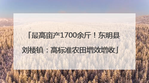 最高亩产1700余斤！东明县刘楼镇：高标准农田增效增收