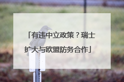 有违中立政策？瑞士扩大与欧盟防务合作
