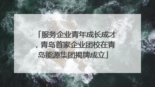 服务企业青年成长成才，青岛首家企业团校在青岛能源集团揭牌成立