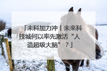 未科加力冲丨未来科技城何以率先激活“人造超级大脑”？