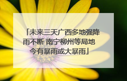 未来三天广西多地强降雨不断 南宁柳州等局地今有暴雨或大暴雨