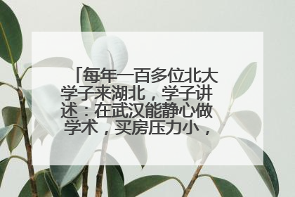 每年一百多位北大学子来湖北，学子讲述：在武汉能静心做学术，买房压力小，创业成本低