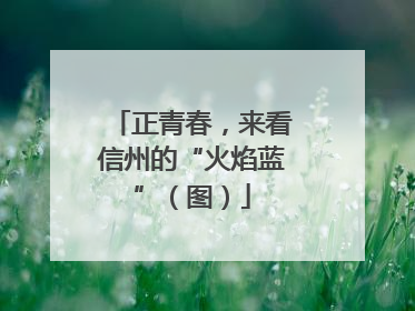 正青春，来看信州的“火焰蓝”（图）