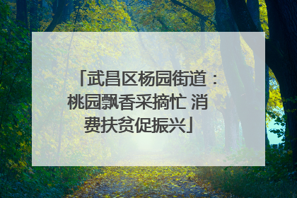 武昌区杨园街道：桃园飘香采摘忙 消费扶贫促振兴