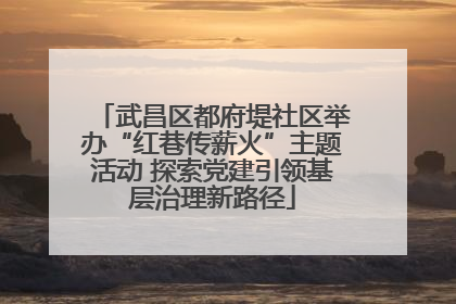 武昌区都府堤社区举办“红巷传薪火”主题活动 探索党建引领基层治理新路径