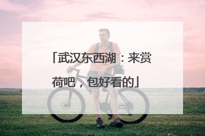 武汉东西湖：来赏荷吧，包好看的