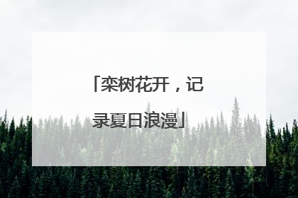 栾树花开，记录夏日浪漫