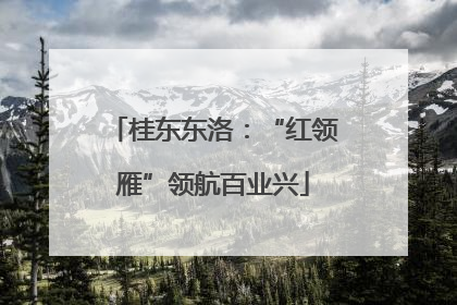 桂东东洛：“红领雁”领航百业兴