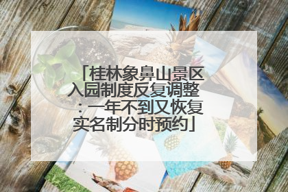 桂林象鼻山景区入园制度反复调整：一年不到又恢复实名制分时预约