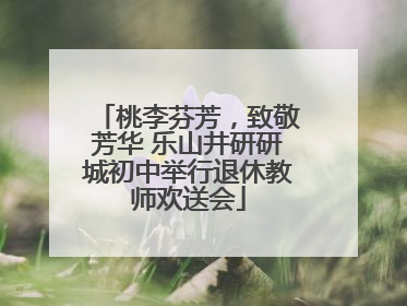 桃李芬芳，致敬芳华 乐山井研研城初中举行退休教师欢送会