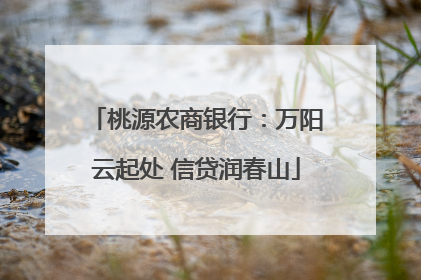 桃源农商银行：万阳云起处 信贷润春山