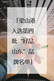 梁山港入选第四批“好品山东”品牌名单