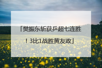樊振东斩获乒超七连胜！3比1战胜黄友政