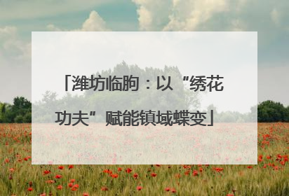 潍坊临朐：以“绣花功夫”赋能镇域蝶变
