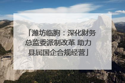 潍坊临朐：深化财务总监委派制改革 助力县属国企合规经营